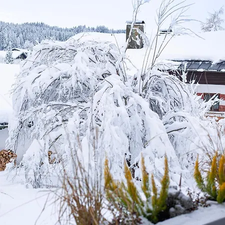 Alpen&art Chalet Mit O Plus *
